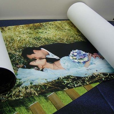 Self Adhesive Inkjet Vinyl Sticker Paper Roll  Inkjet Photo Media Indoor Outdoor